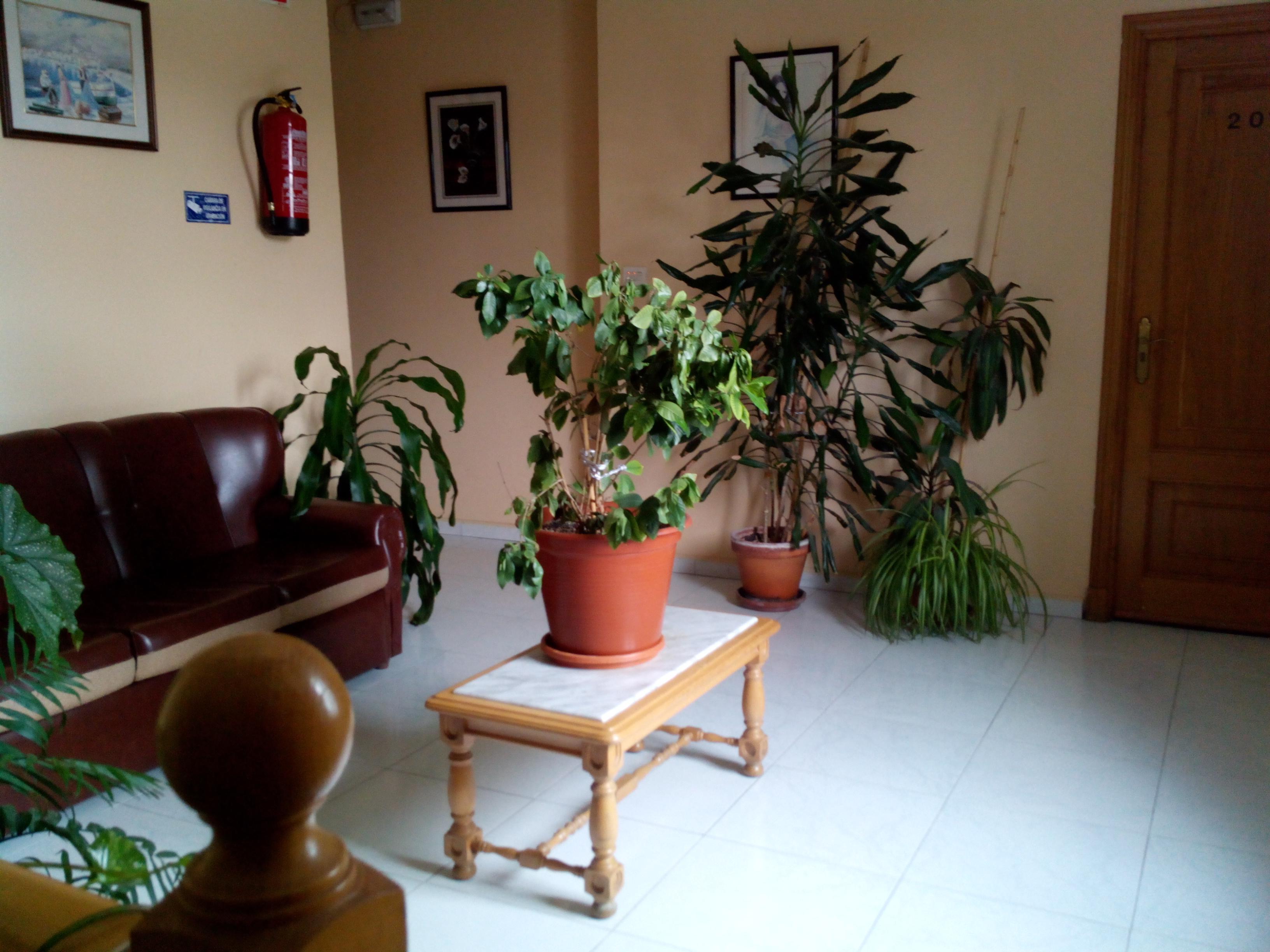 Hostal Sequeiros San Ciprián de Viñas Εξωτερικό φωτογραφία