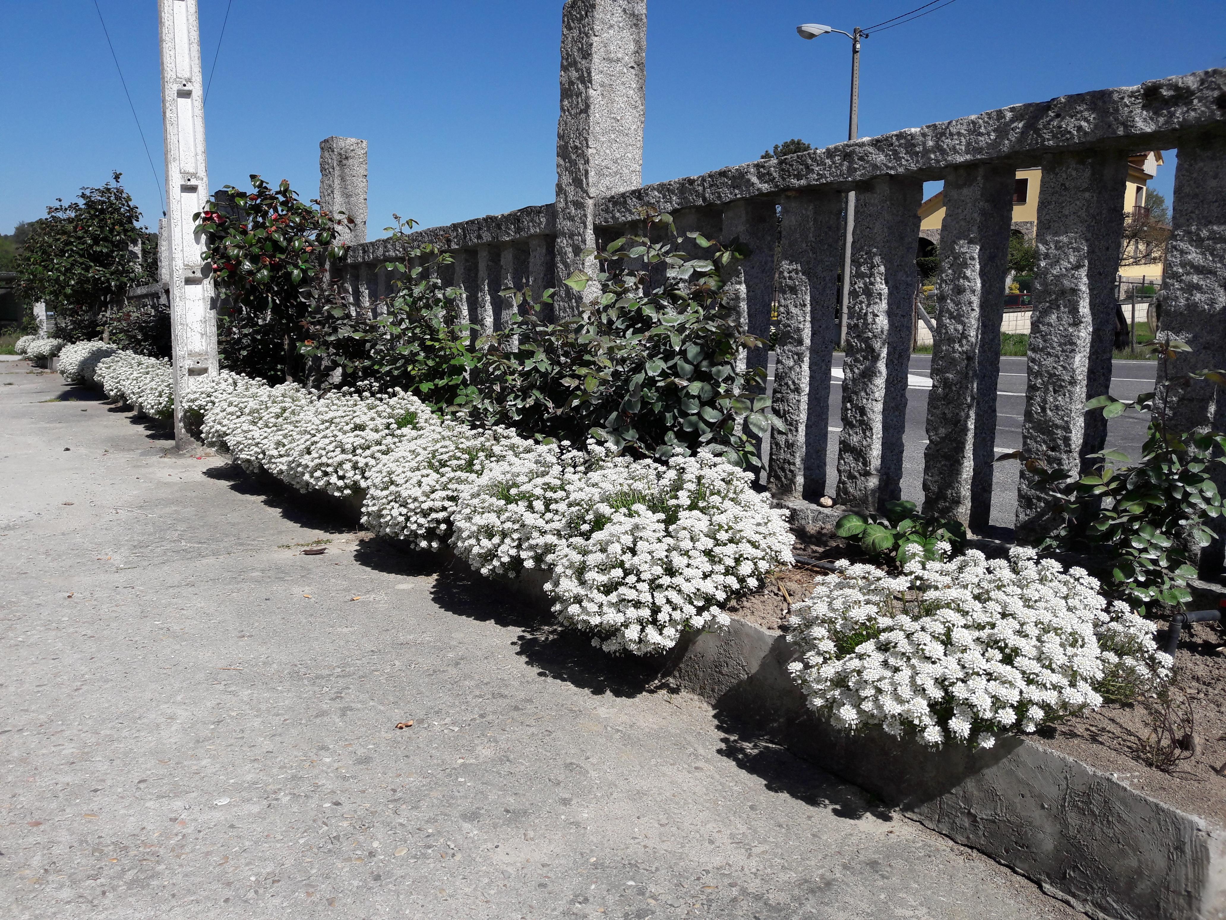 Hostal Sequeiros San Ciprián de Viñas Εξωτερικό φωτογραφία